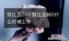 努比亚Z60 努比亚z60什么时候上市