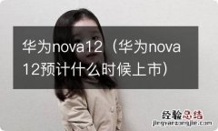 华为nova12预计什么时候上市 华为nova12