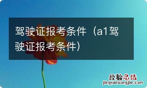 a1驾驶证报考条件 驾驶证报考条件