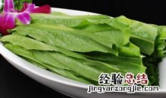 夏季可以种油麦菜吗 广东立夏后能种油麦菜吗