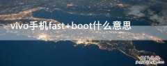 vivo手机fastboot模式一直闪 vivo手机fast