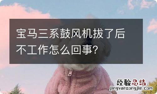 宝马三系鼓风机拔了后不工作怎么回事？