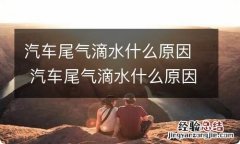 汽车尾气滴水什么原因 汽车尾气滴水什么原因导致的