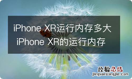 iPhone XR运行内存多大 iPhone XR的运行内存是多少