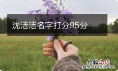 沈洁洁名字打分95分