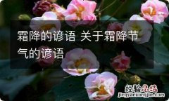 霜降的谚语 关于霜降节气的谚语