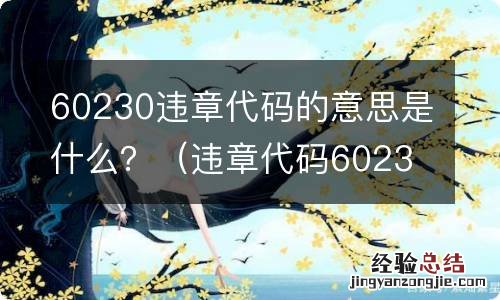 违章代码60231是什么意思 60230违章代码的意思是什么？