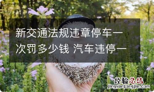 新交通法规违章停车一次罚多少钱 汽车违停一次罚多少钱