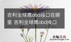 吉利全球鹰obd接口在哪里 吉利全球鹰obd接口在哪里图片