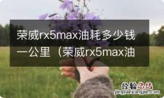 荣威rx5max油耗多少真实油耗 荣威rx5max油耗多少钱一公里