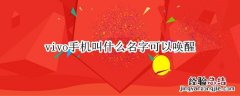 vivo手机叫什么名字可以唤醒 vivo语音唤醒叫什么名字