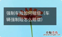 车辆强制险怎么赔偿 强制车险如何赔偿