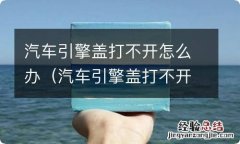 汽车引擎盖打不开怎么办视频 汽车引擎盖打不开怎么办