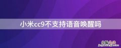 小米cc9不支持语音唤醒吗