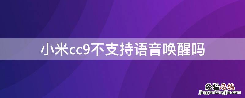 小米cc9不支持语音唤醒吗
