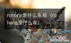 rohens是什么车 rohens是什么车标