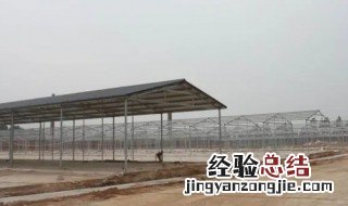 牛舍地面怎么铺是最科学的 牛舍地面用什么材料好