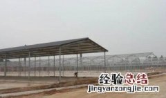 牛舍地面用什么材料好 建牛舍地面用什么材料最好