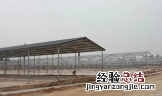 牛舍地面用什么材料好 建牛舍地面用什么材料最好