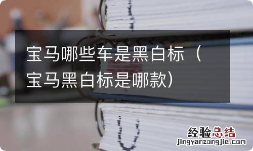 宝马黑白标是哪款 宝马哪些车是黑白标