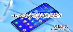 vivoS1怎么清除浏览器缓存