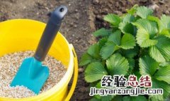 家庭果树花卉施肥技巧 果树花草施肥方法