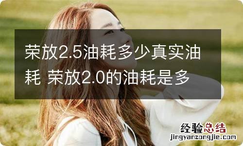 荣放2.5油耗多少真实油耗 荣放2.0的油耗是多少