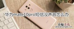 华为mate10pro短信没声音怎么办