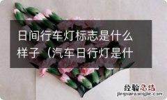 汽车日行灯是什么标志 日间行车灯标志是什么样子