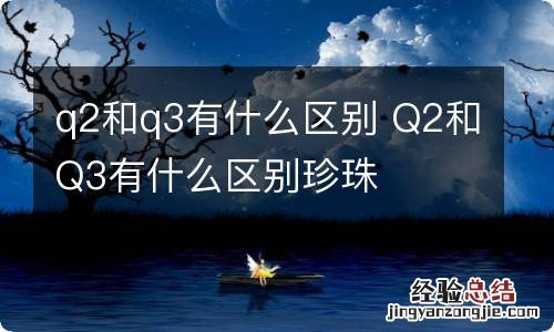 q2和q3有什么区别 Q2和Q3有什么区别珍珠