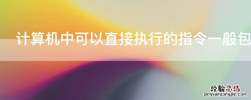 计算机中可以直接执行的指令一般包括