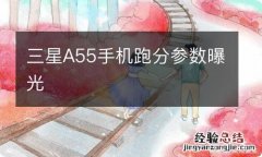 三星A55手机跑分参数曝光