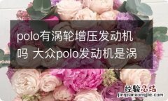 polo有涡轮增压发动机吗 大众polo发动机是涡轮增压的吗