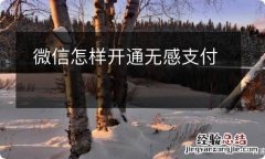 微信怎样开通无感支付