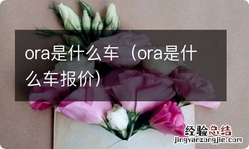 ora是什么车报价 ora是什么车