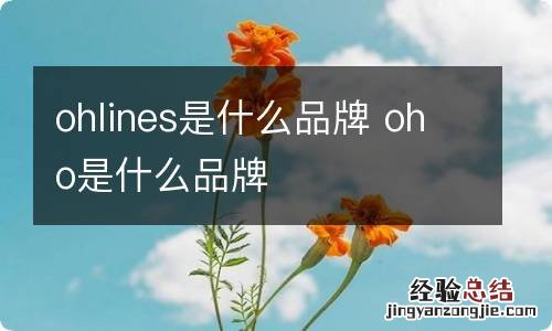 ohlines是什么品牌 oho是什么品牌