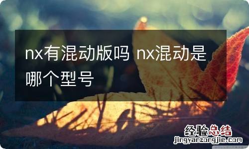 nx有混动版吗 nx混动是哪个型号