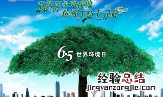 每年6月5日是什么日 6月5日是什么日