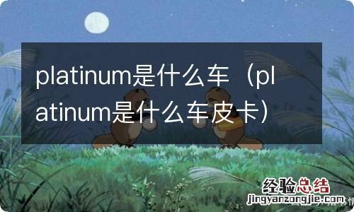 platinum是什么车皮卡 platinum是什么车