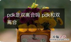 pdk是双离合吗 pdk和双离合