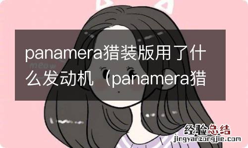 panamera猎装版提车作业 panamera猎装版用了什么发动机