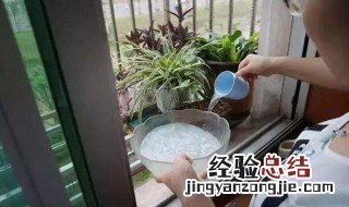 牛奶浇花的正确方法 过期牛奶怎么浇花