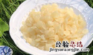 雪莲子一般泡多久? 雪莲子一般泡几个小时