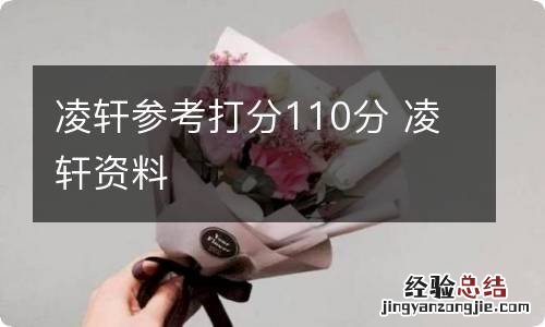 凌轩参考打分110分 凌轩资料