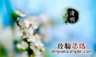 聪明节是哪个传统节日的别称