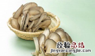 炸蘑菇用什么蘑菇好 炸蘑菇用什么蘑菇