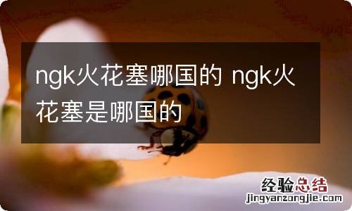 ngk火花塞哪国的 ngk火花塞是哪国的