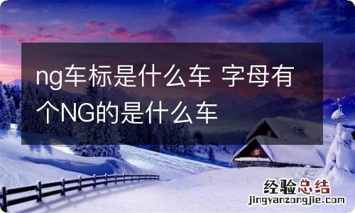 ng车标是什么车 字母有个NG的是什么车