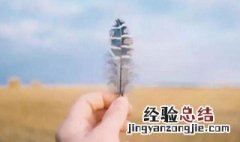 简单做人大度的句子 关于简单做人大度的句子