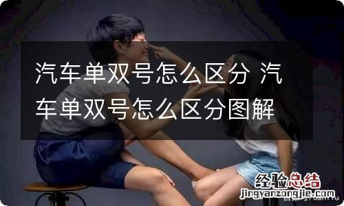 汽车单双号怎么区分 汽车单双号怎么区分图解